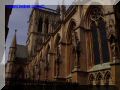 P8130083-web.jpg