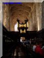 P8130108-web.jpg