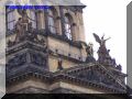 P9080029-web.jpg
