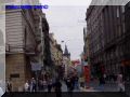 P9080052-web.jpg