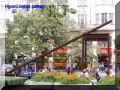 P9080056-web.jpg