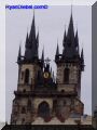 P9080069-web.jpg