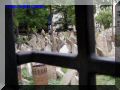 P9080106-web.jpg