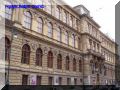 P9080111-web.jpg