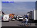 P9170089-web.jpg