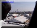 P9170118-web.jpg