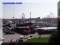P9170133-web.jpg
