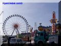 P9170139-web.jpg