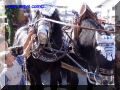 P9210059-web.jpg