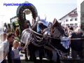 P9210060-web.jpg