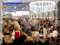 P9210113-web.jpg