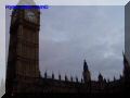 PB100009-web.jpg