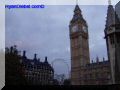 PB100011-web.jpg