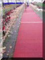 PB100028-web.jpg