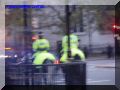 PB100040-web.jpg