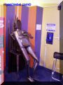 PB101046-web.jpg