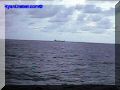 SAS--003-web.jpg