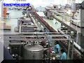 SAS--006-web.jpg