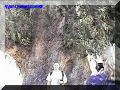SAS--018-web.jpg