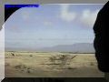 SAS--006-web.jpg
