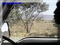 SAS--019-web.jpg