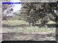 SAS--020-web.jpg