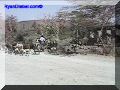 SAS--021-web.jpg