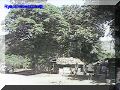 SAS--023-web.jpg