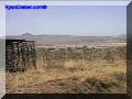 SAS--033-web.jpg