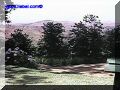 SAS--041-web.jpg