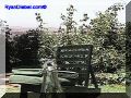 SAS--042-web.jpg