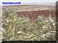 SAS--049-web.jpg