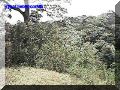 SAS--052-web.jpg