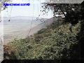 SAS--058-web.jpg