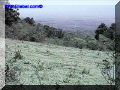 SAS--060-web.jpg