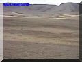 SAS--063-web.jpg