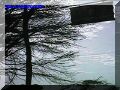 SAS--065-web.jpg