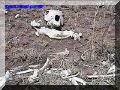 SAS--067-web.jpg