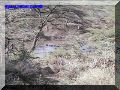 SAS--069-web.jpg