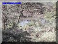 SAS--070-web.jpg