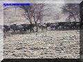 SAS--072-web.jpg