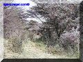 SAS--073-web.jpg