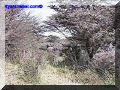 SAS--074-web.jpg