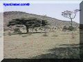 SAS--077-web.jpg