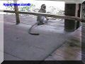 SAS--078-web.jpg