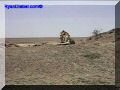 SAS--080-web.jpg