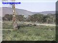 SAS--093-web.jpg